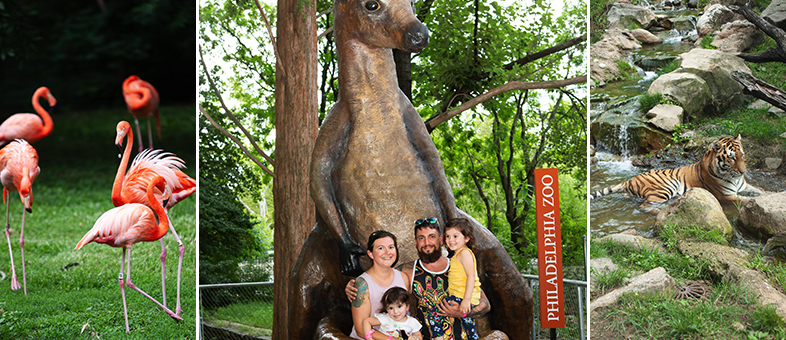 SIG takes over the Philadelphia Zoo for Family Fun Night