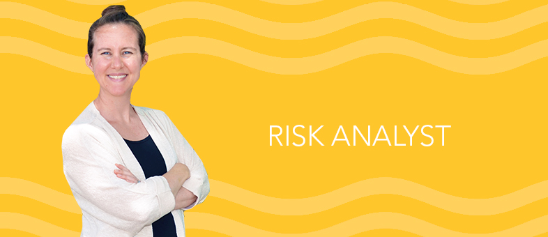 Meet a Risk Analyst